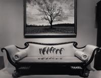 Untitled (Leaves Over Couch), 1987
