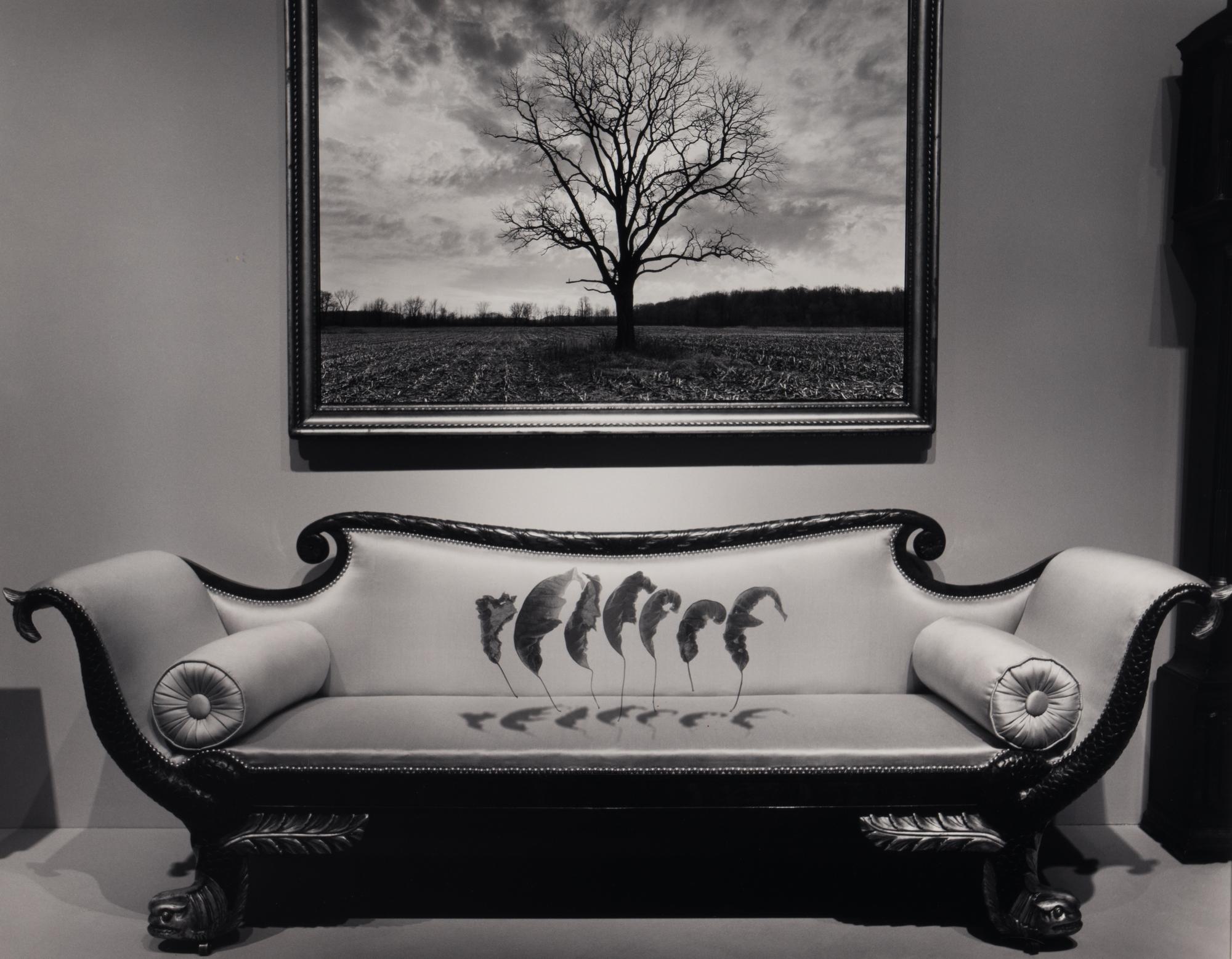 Untitled (Leaves Over Couch), 1987