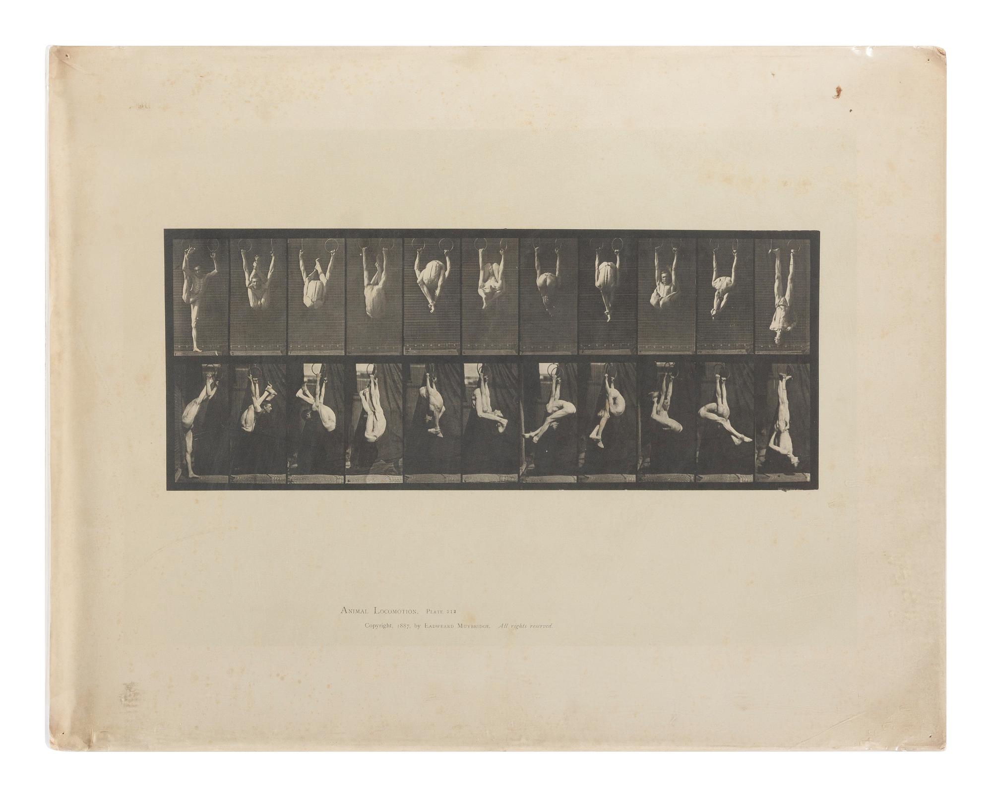 15 Plates from Animal Locomotion , 1887