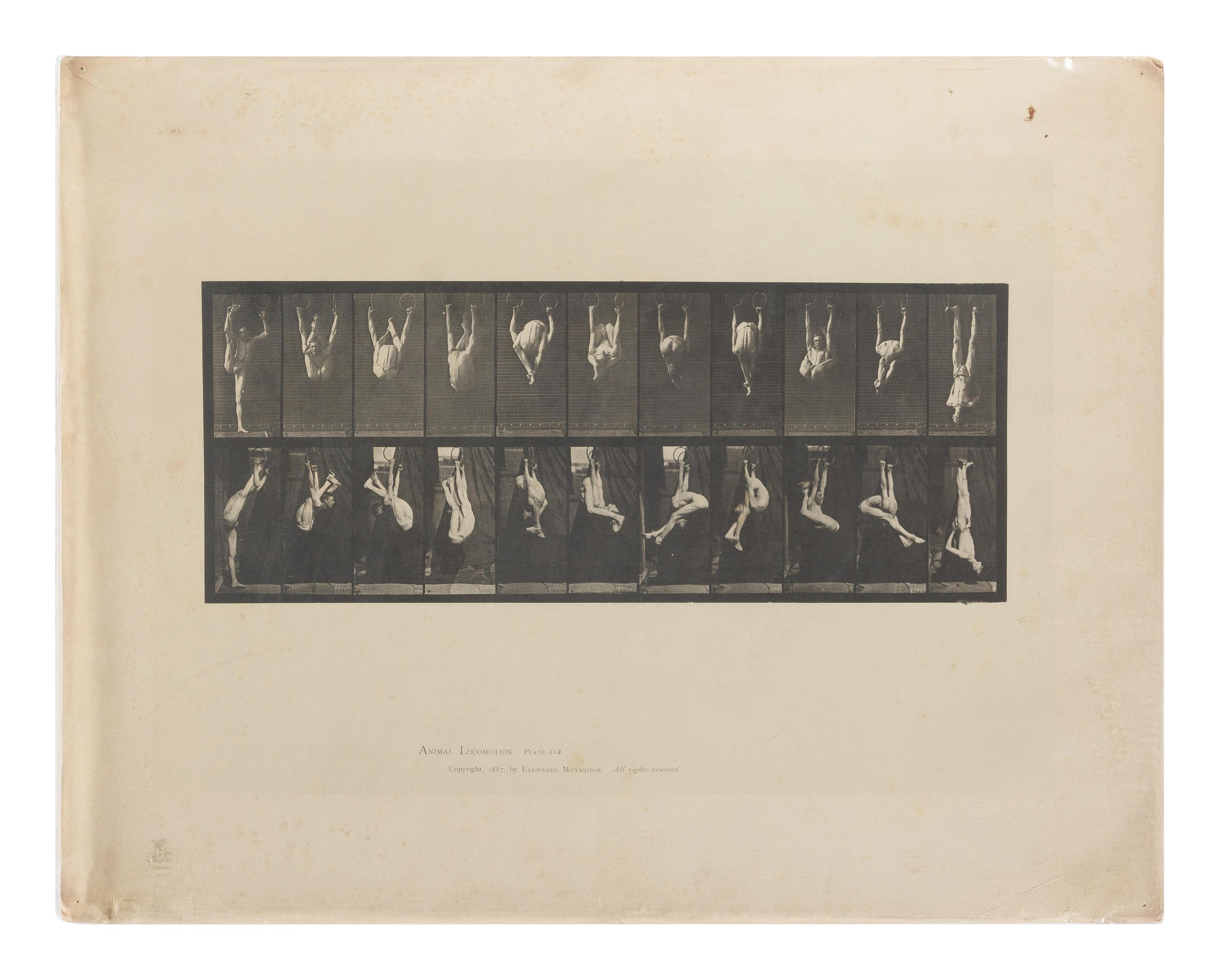 15 Plates from Animal Locomotion , 1887