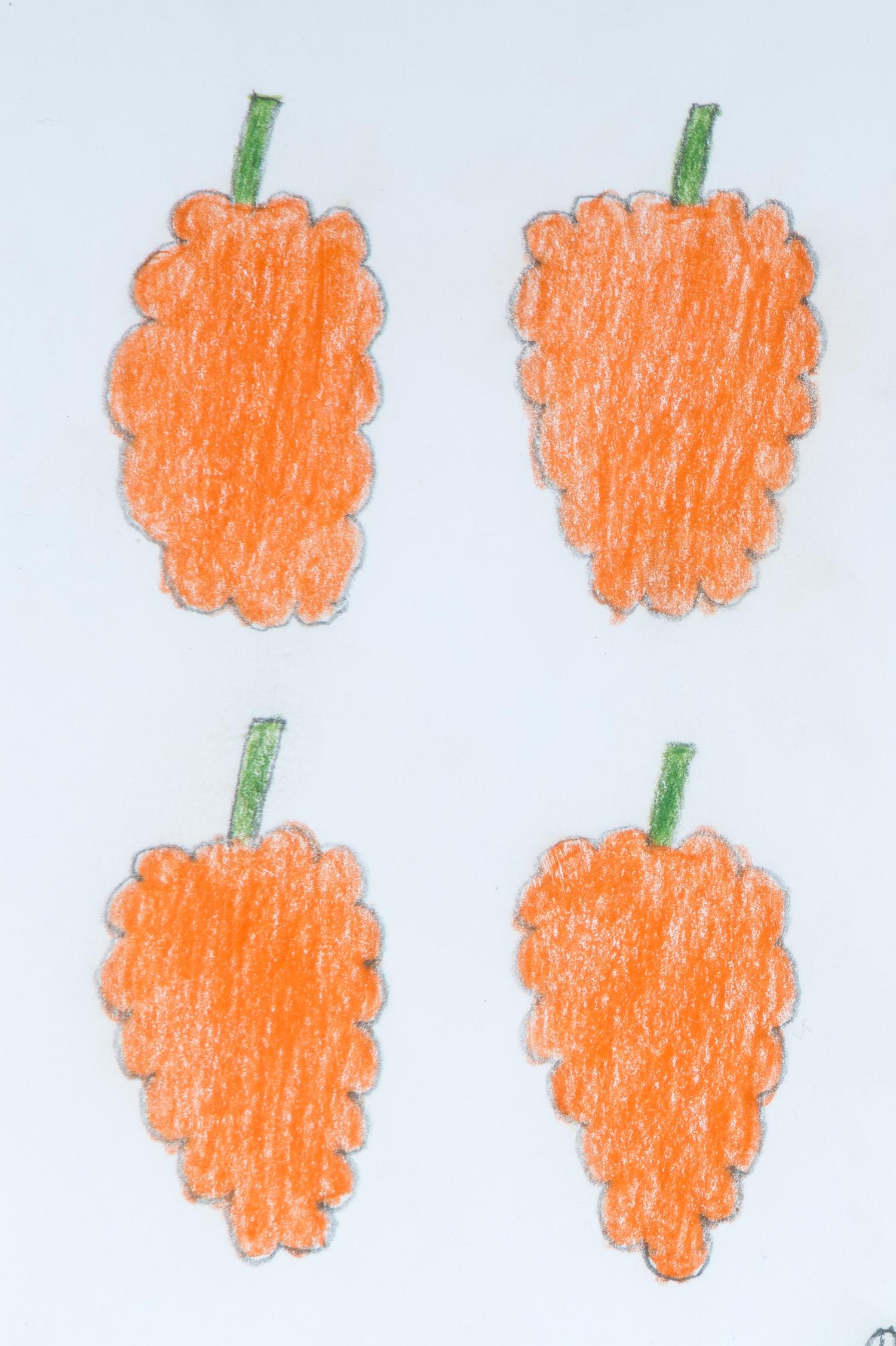 Untitled (Ten Raspberries)