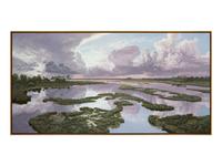 Marshland