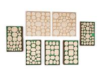A Collection of Grand Tour Plaster Intaglios
