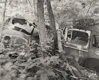 A group of fourteen photographs