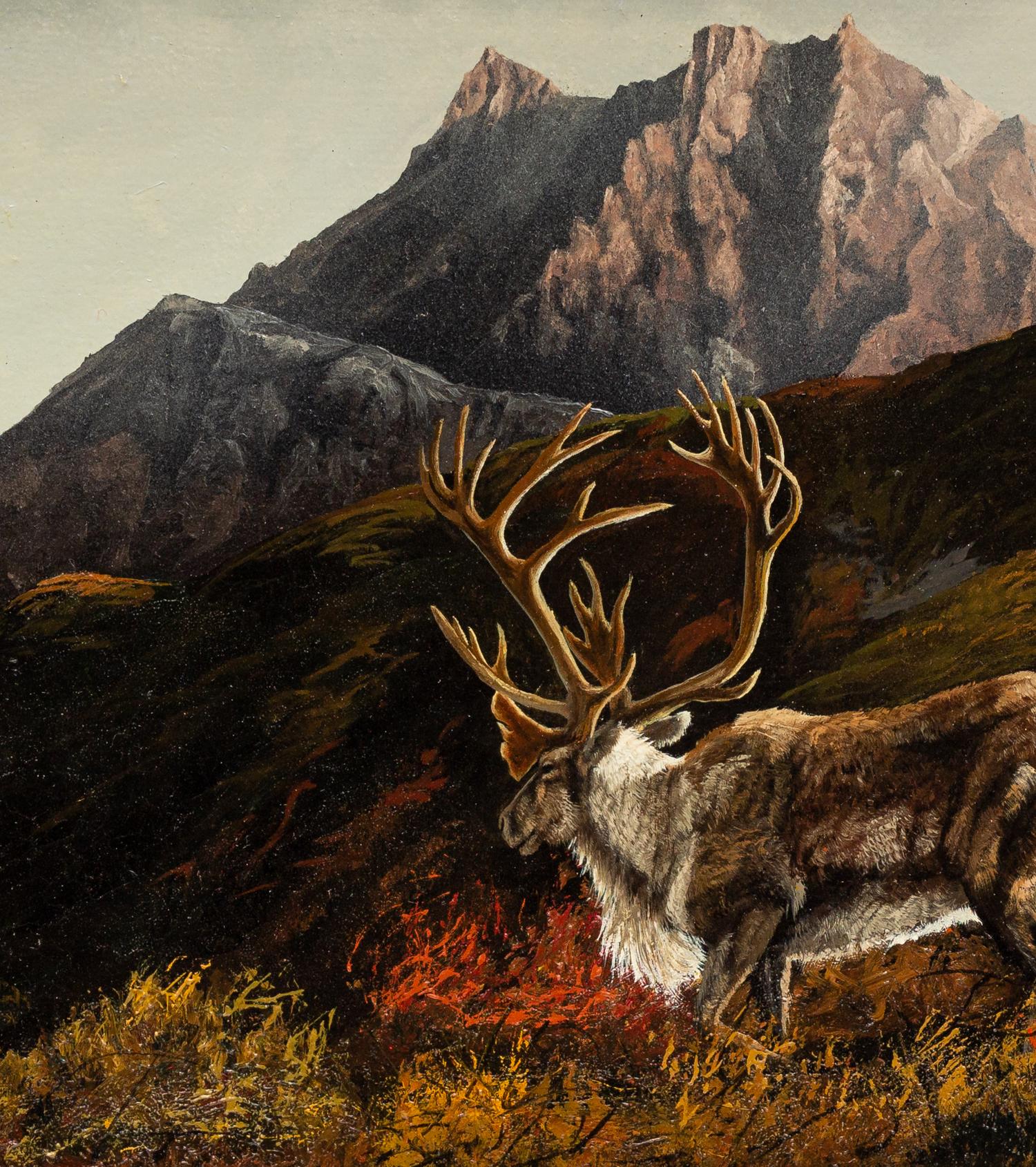 Alaska Caribou