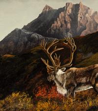 Alaska Caribou