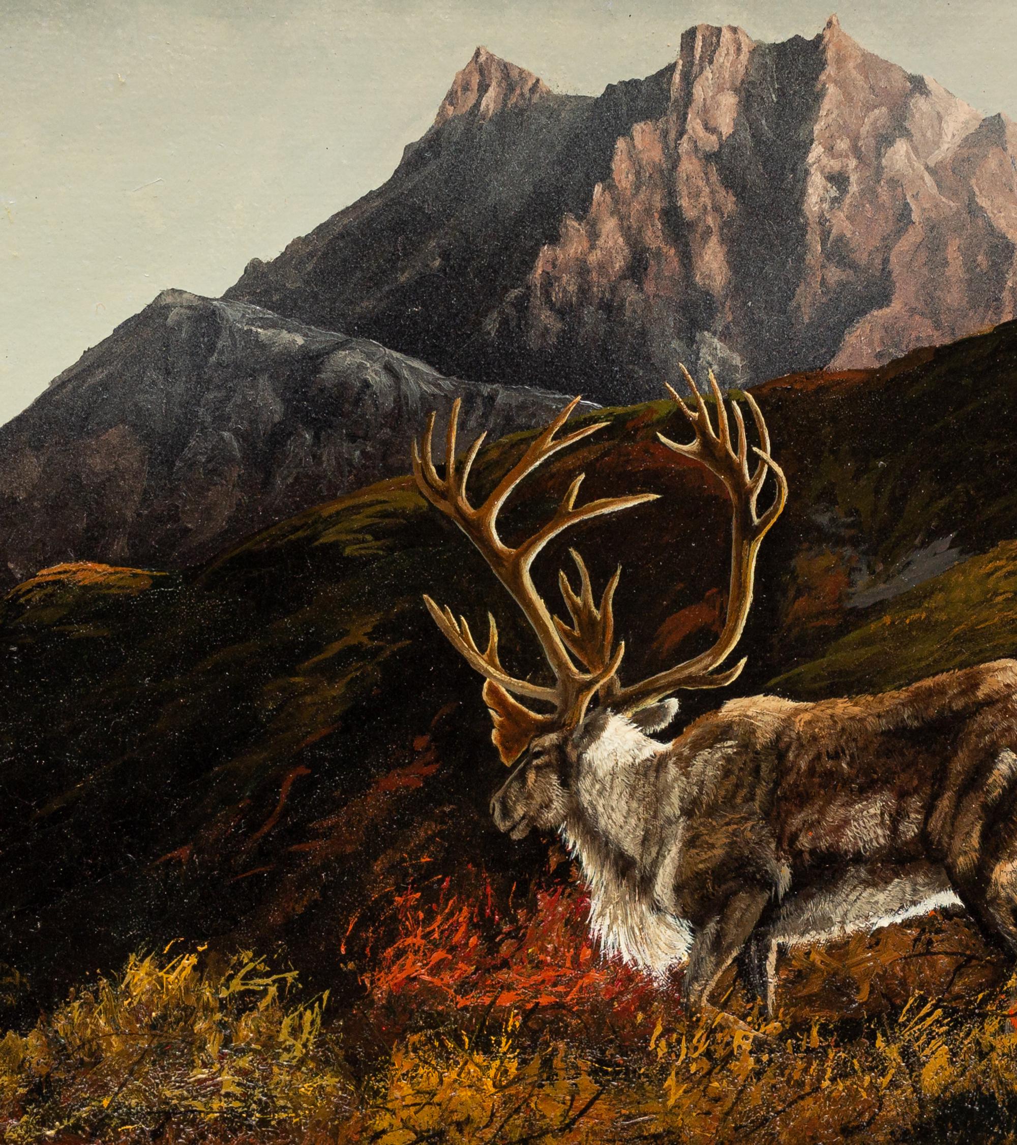 Alaska Caribou