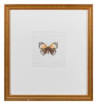 Patrick Farrell (American, 1940-2016) Butterfly , 1997 hand…