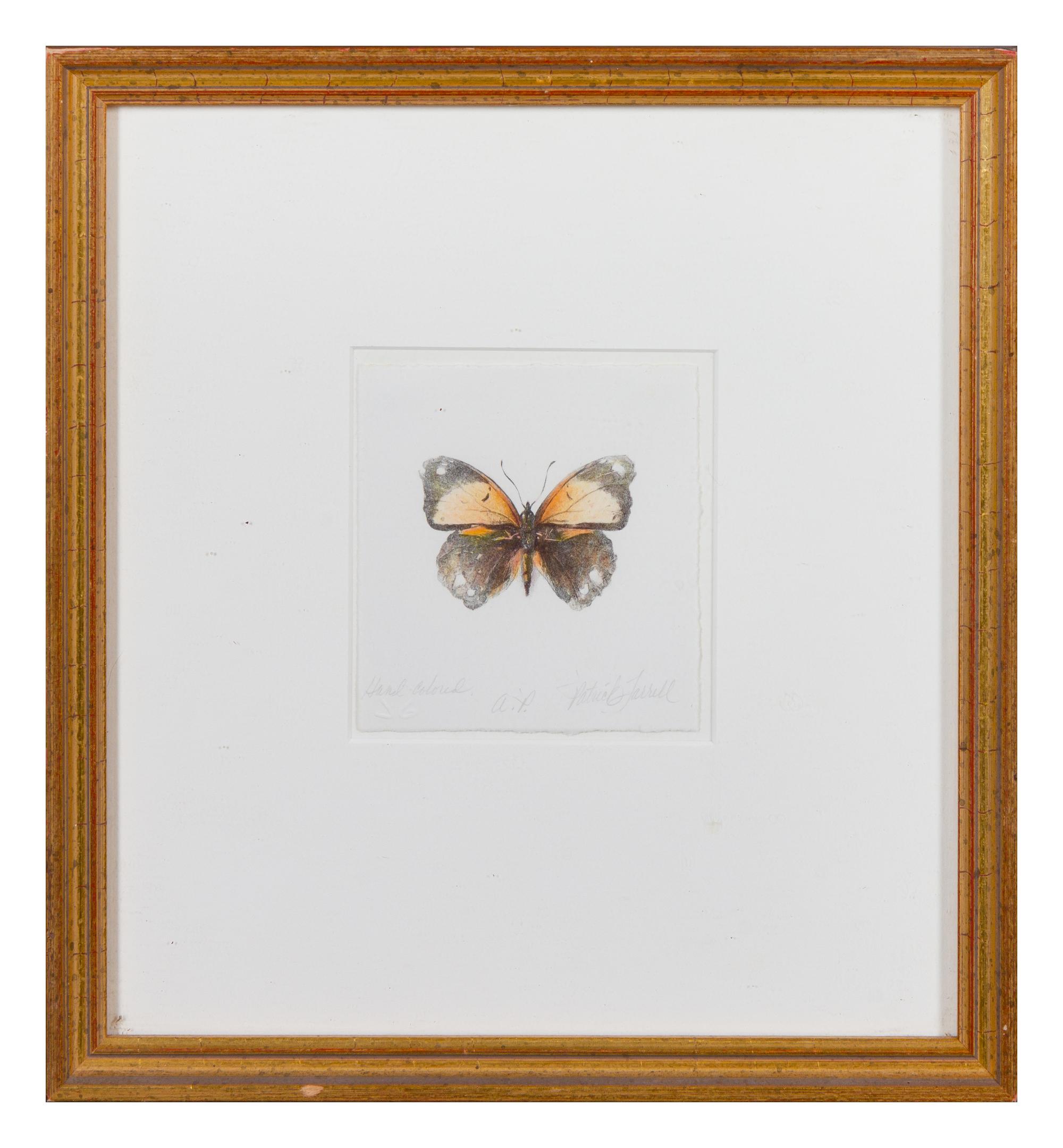 Patrick Farrell (American, 1940-2016) Butterfly , 1997 hand…