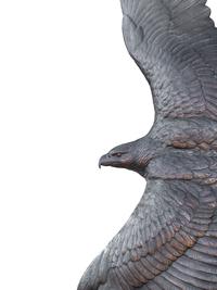 Golden Wings , edition 15/35