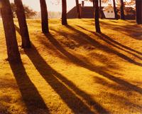 Eighteen Photographs, 1958-1979; printed 1982