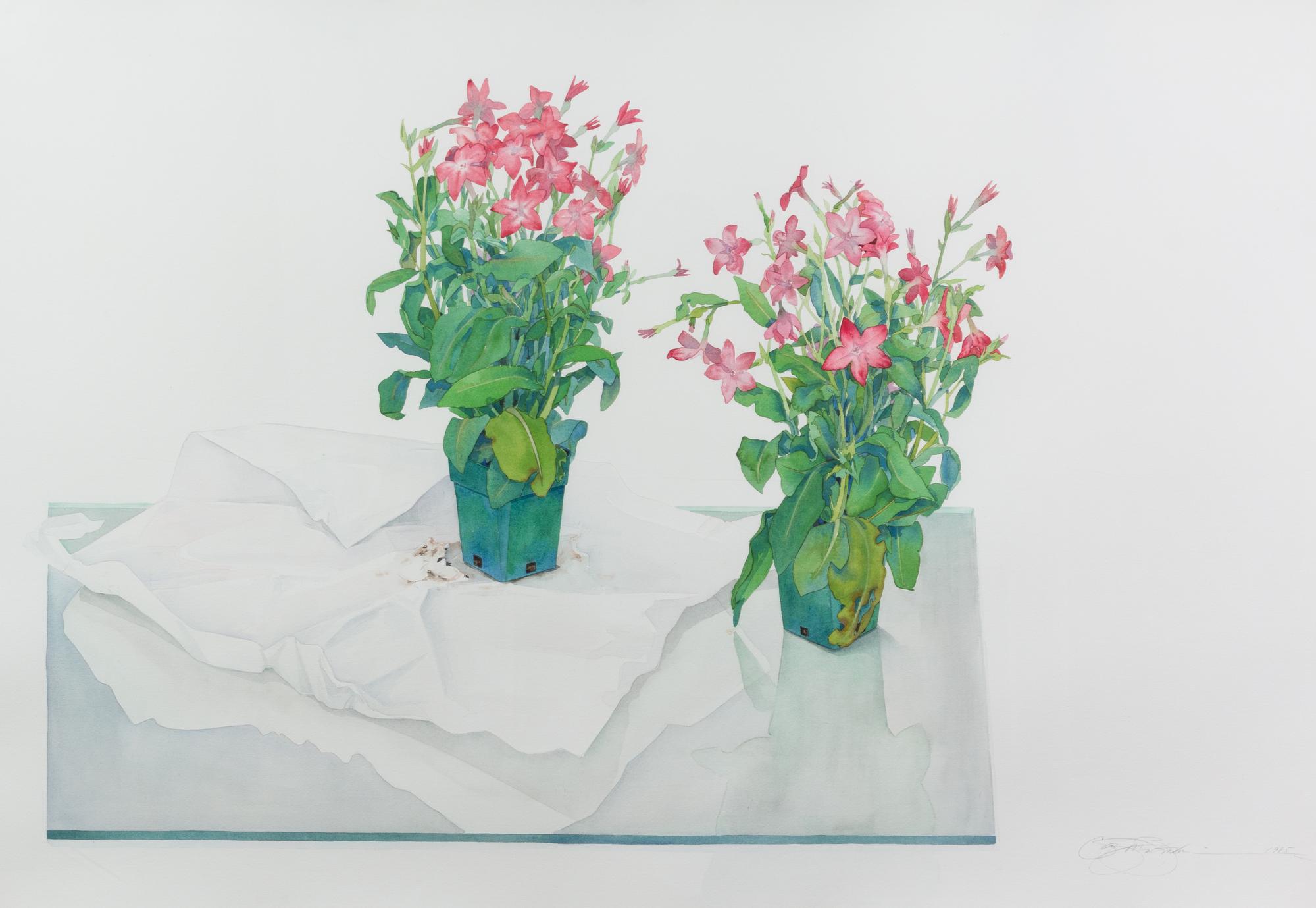 Still Life in Pink and Green, 1985
