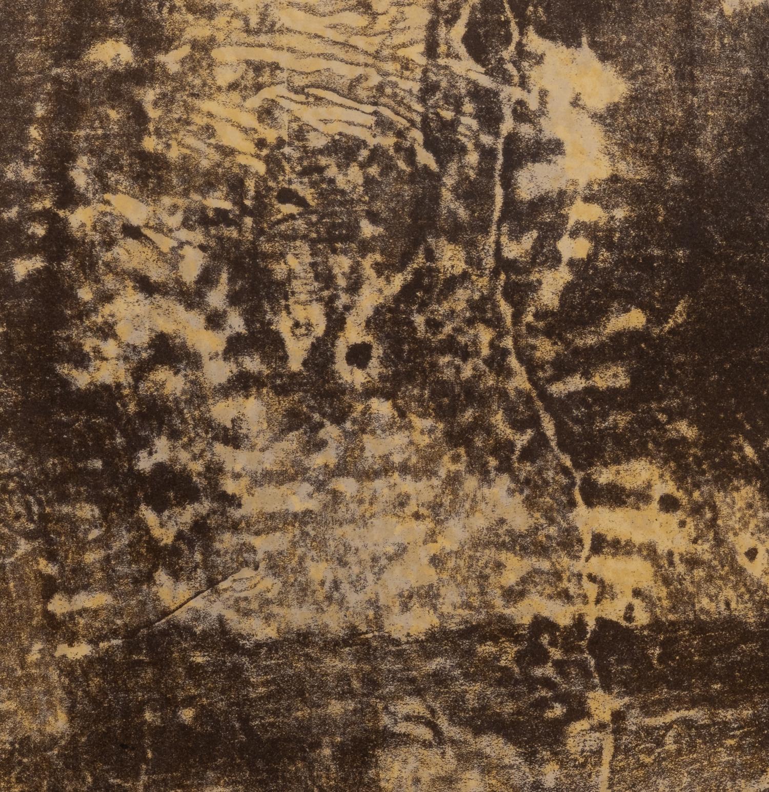 Six Works from Les Phénomènes