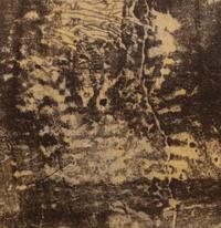 Six Works from Les Phénomènes