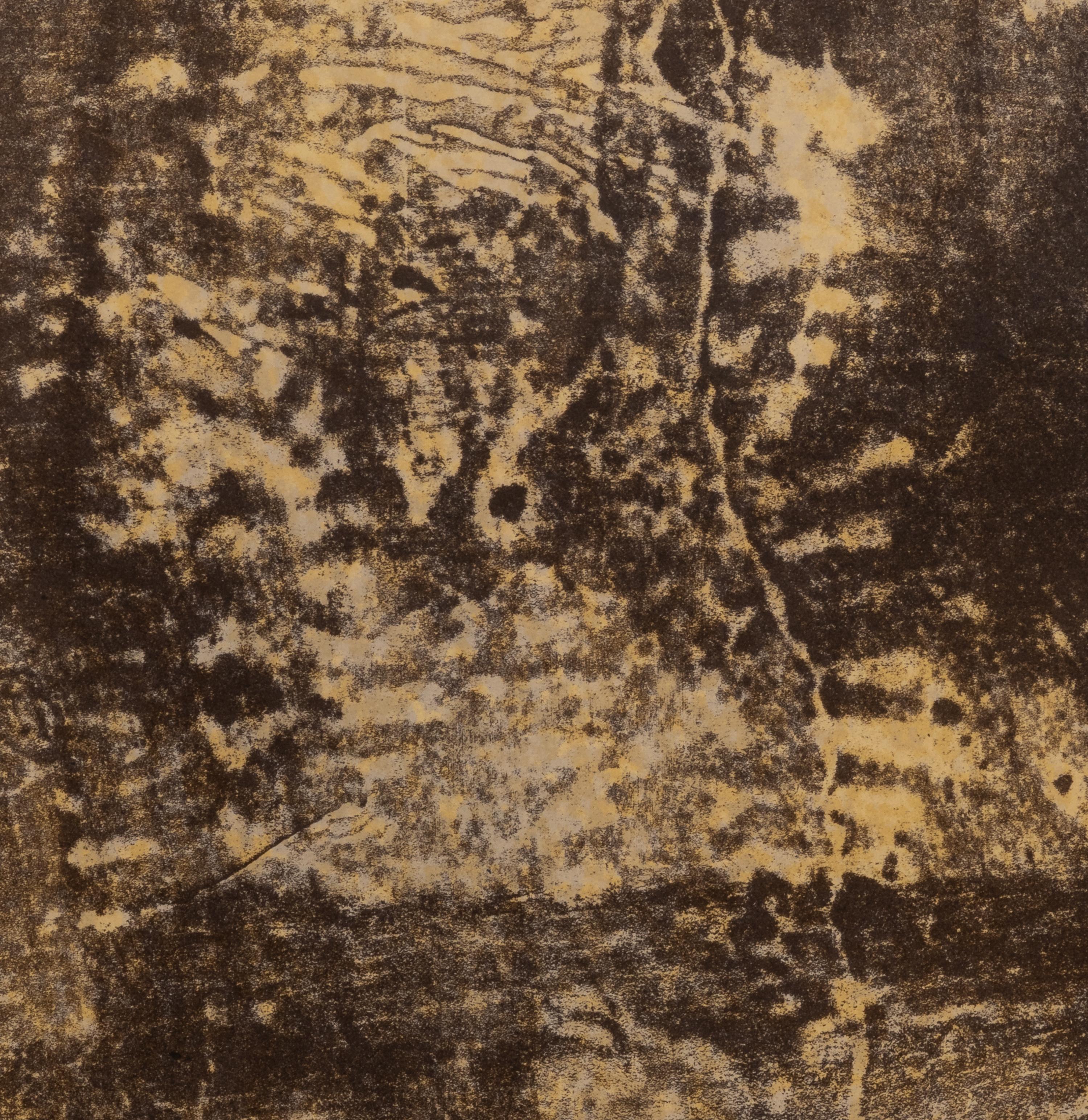 Six Works from Les Phénomènes