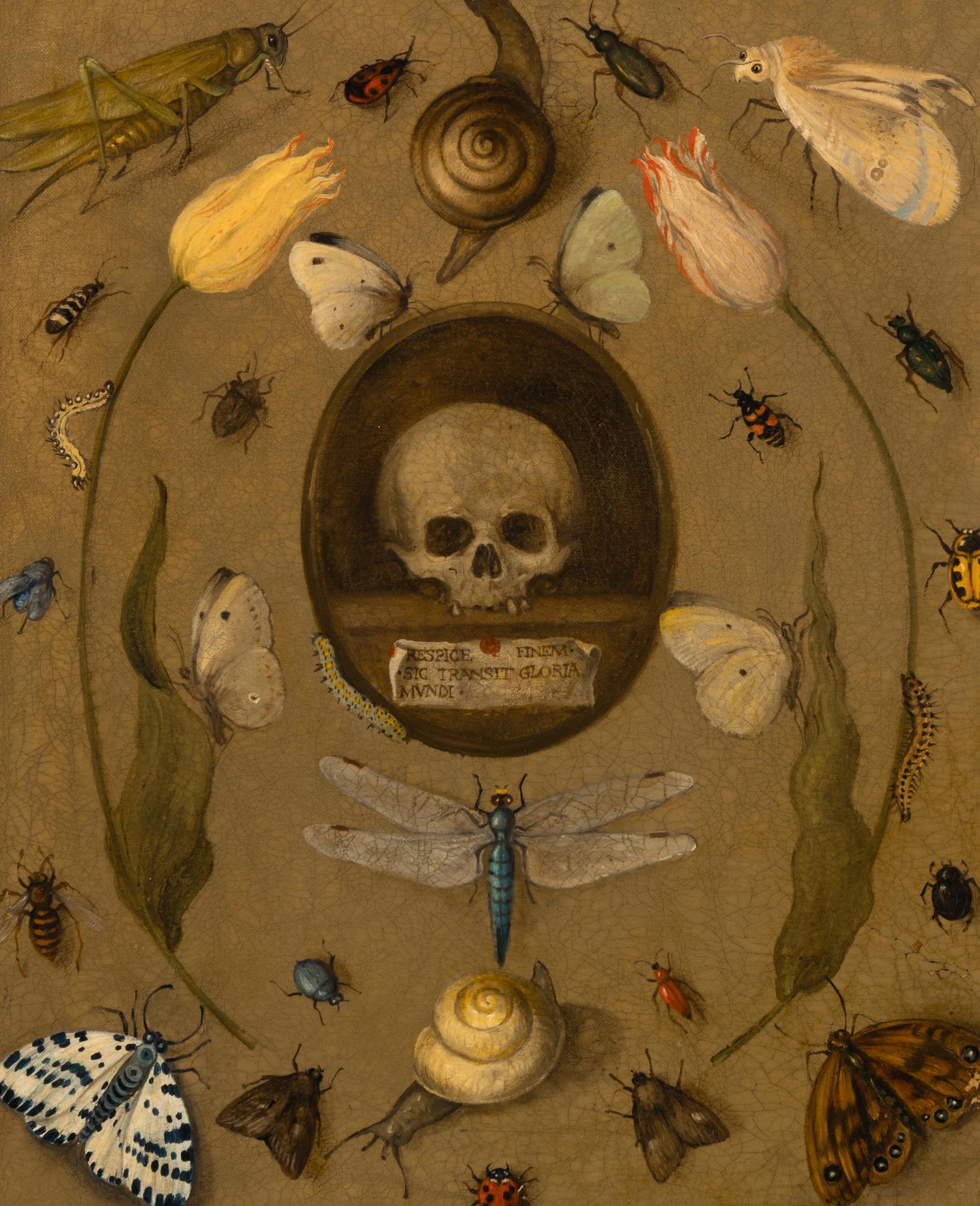 Follower of Joris Hoegfnagel (Flemish, 1542-1601) — Vanitas Still Life with Insects