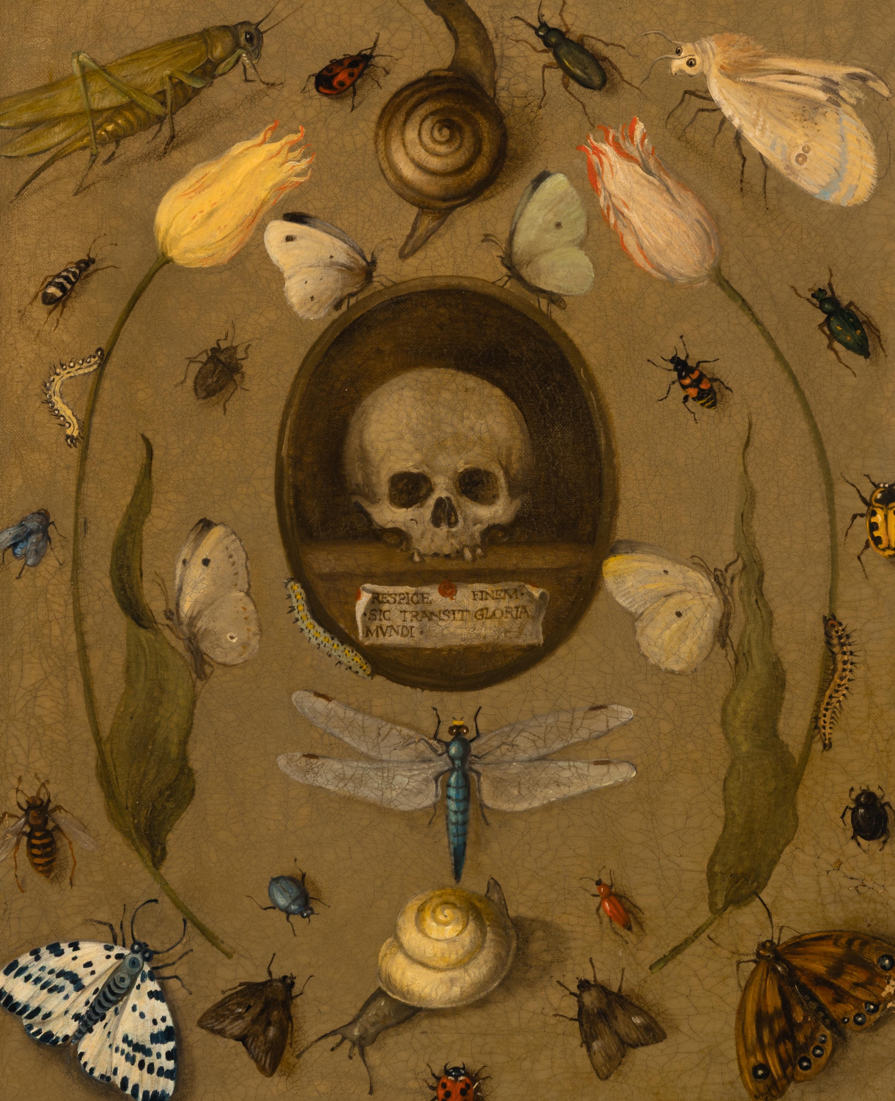 Follower of Joris Hoegfnagel (Flemish, 1542-1601) — Vanitas Still Life with Insects