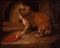 A 19th Century English School Portrait of a Dog