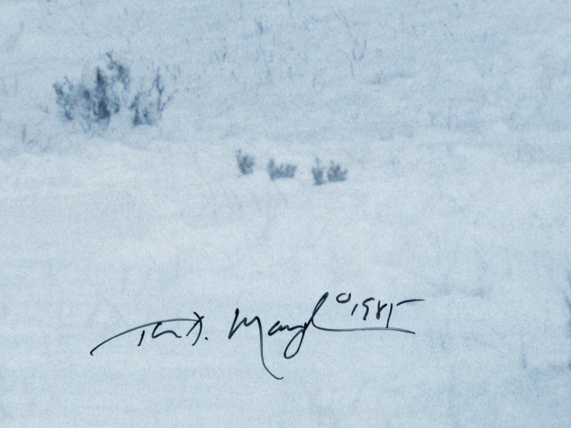Bison in Snow , edition 89/950