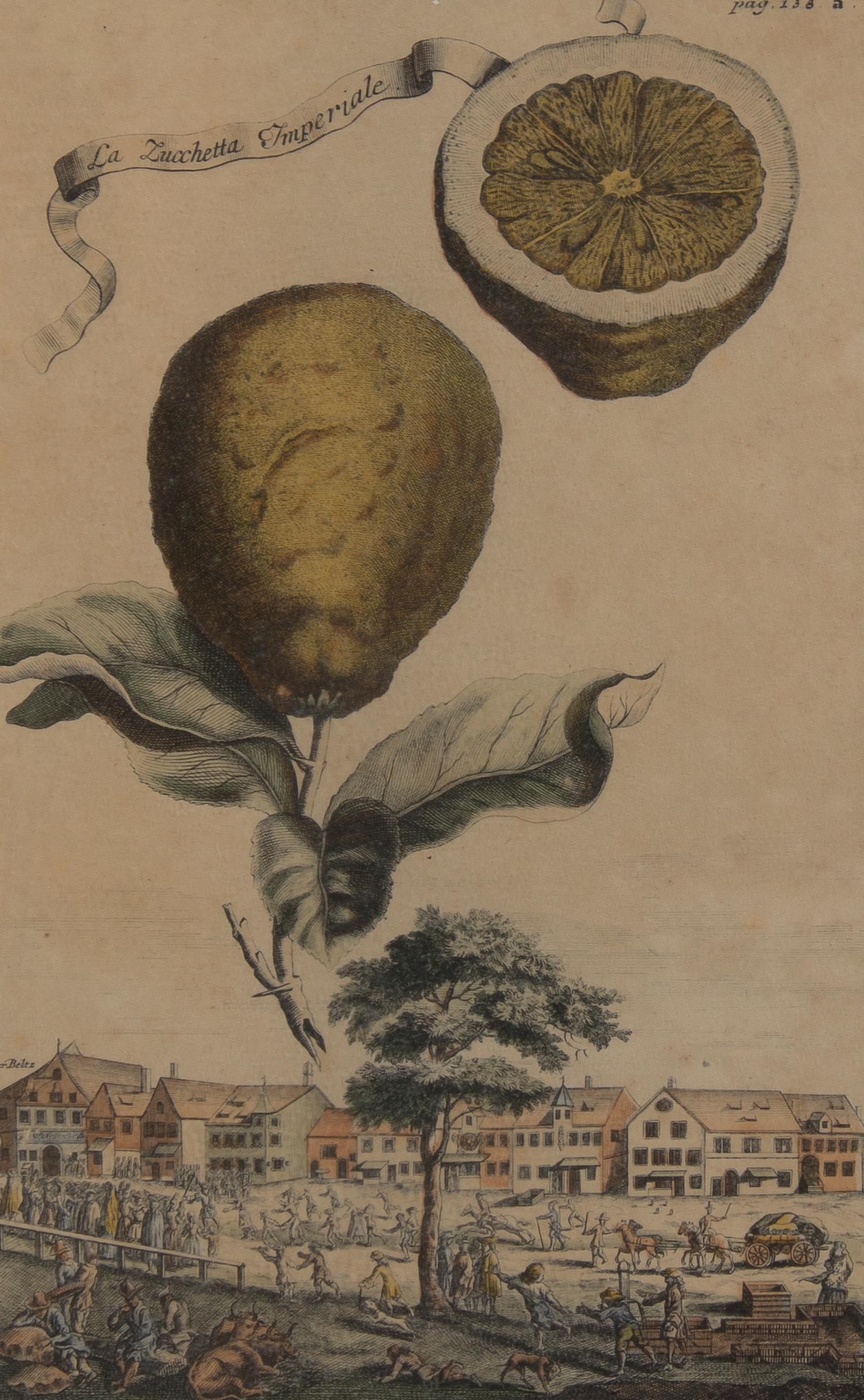 A Collection of Five Botanical Prints, Height of first overall 14 1/8 inches.