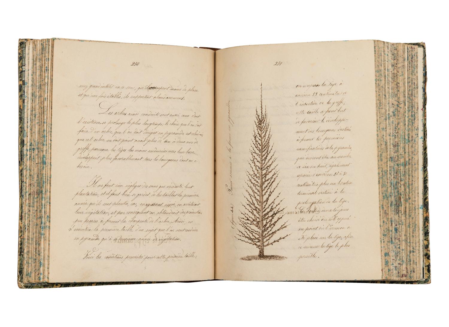 [MANUSCRIPT - NATURAL HISTORY]. “Cours de Culture. 1855-56”. [France, c.1856].