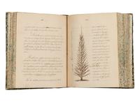 [MANUSCRIPT - NATURAL HISTORY]. “Cours de Culture. 1855-56”. [France, c.1856].