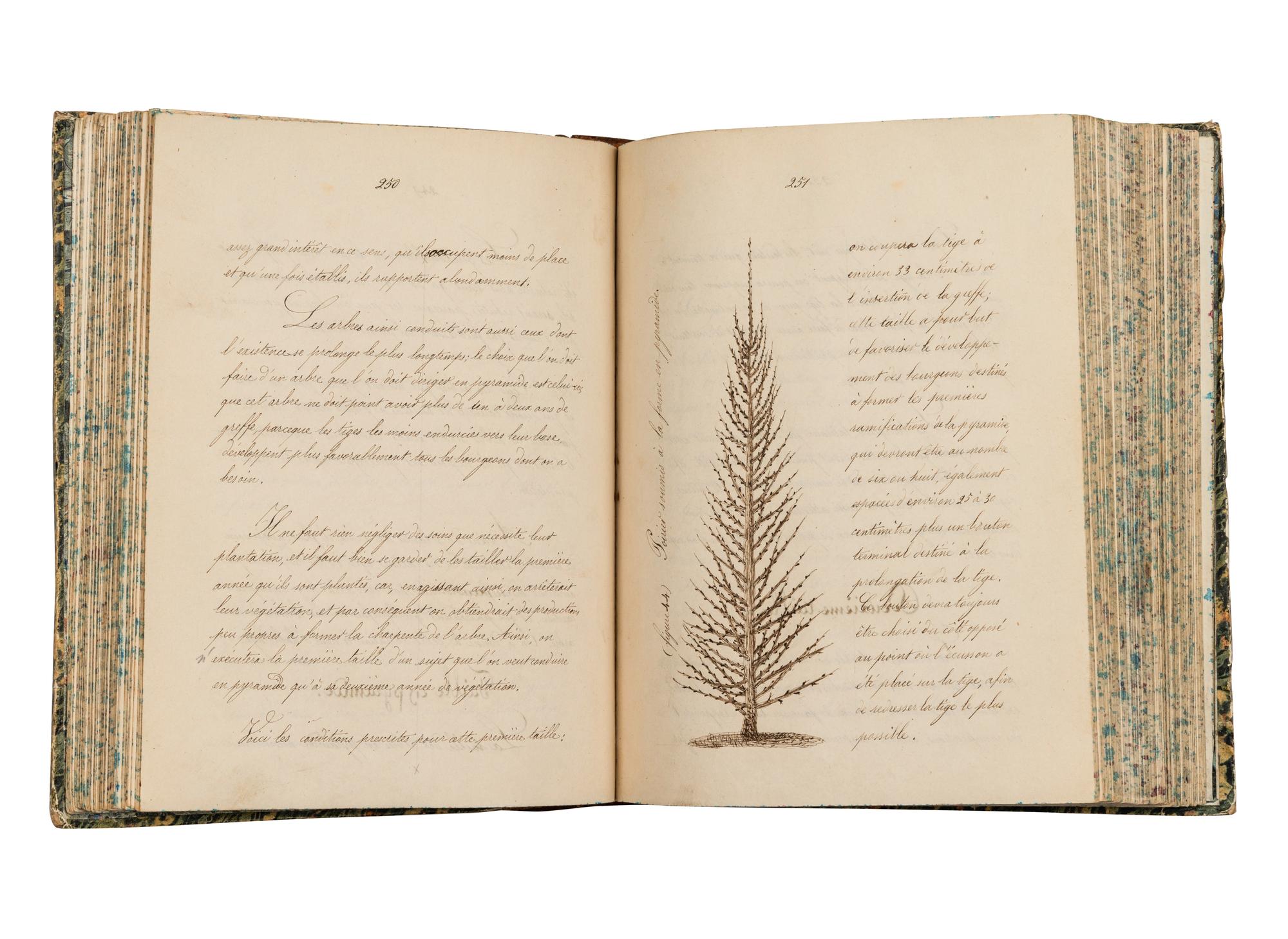 [MANUSCRIPT - NATURAL HISTORY]. “Cours de Culture. 1855-56”. [France, c.1856].