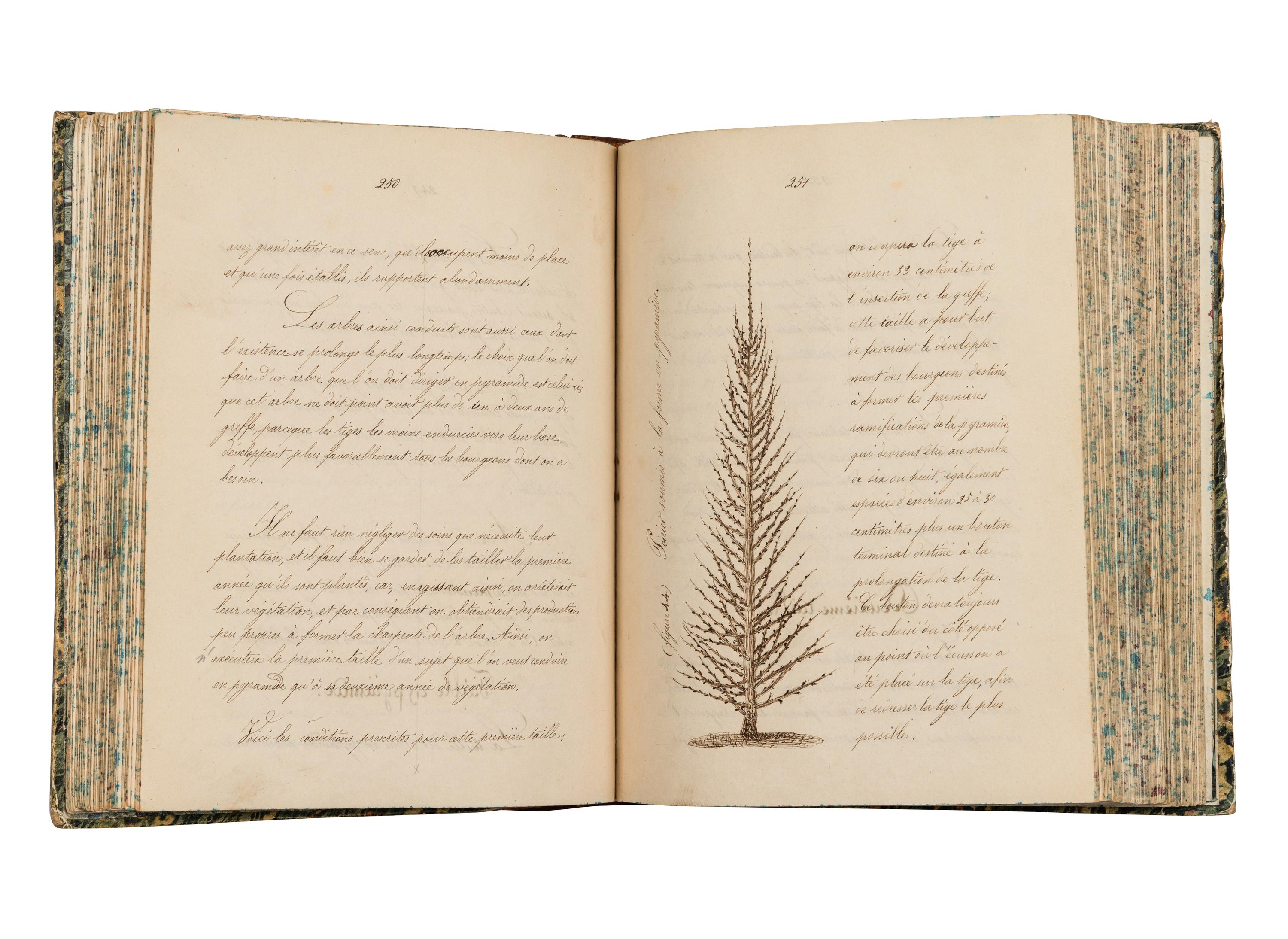 [MANUSCRIPT - NATURAL HISTORY]. “Cours de Culture. 1855-56”. [France, c.1856].