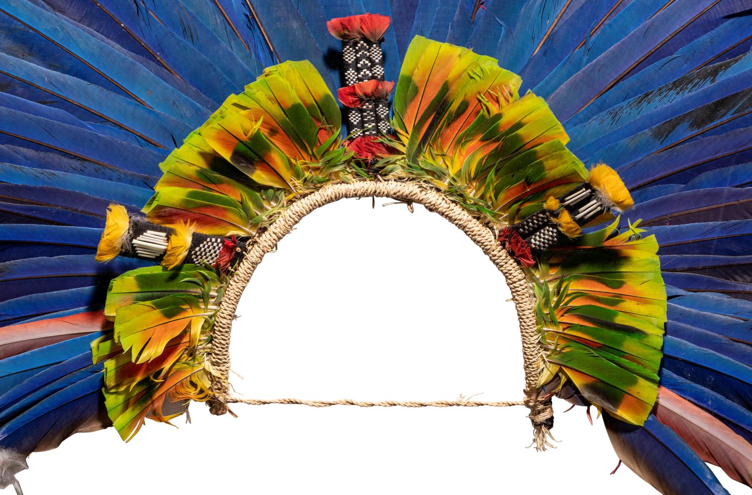 A Juruna Feather Headdress