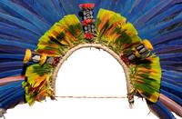 A Juruna Feather Headdress
