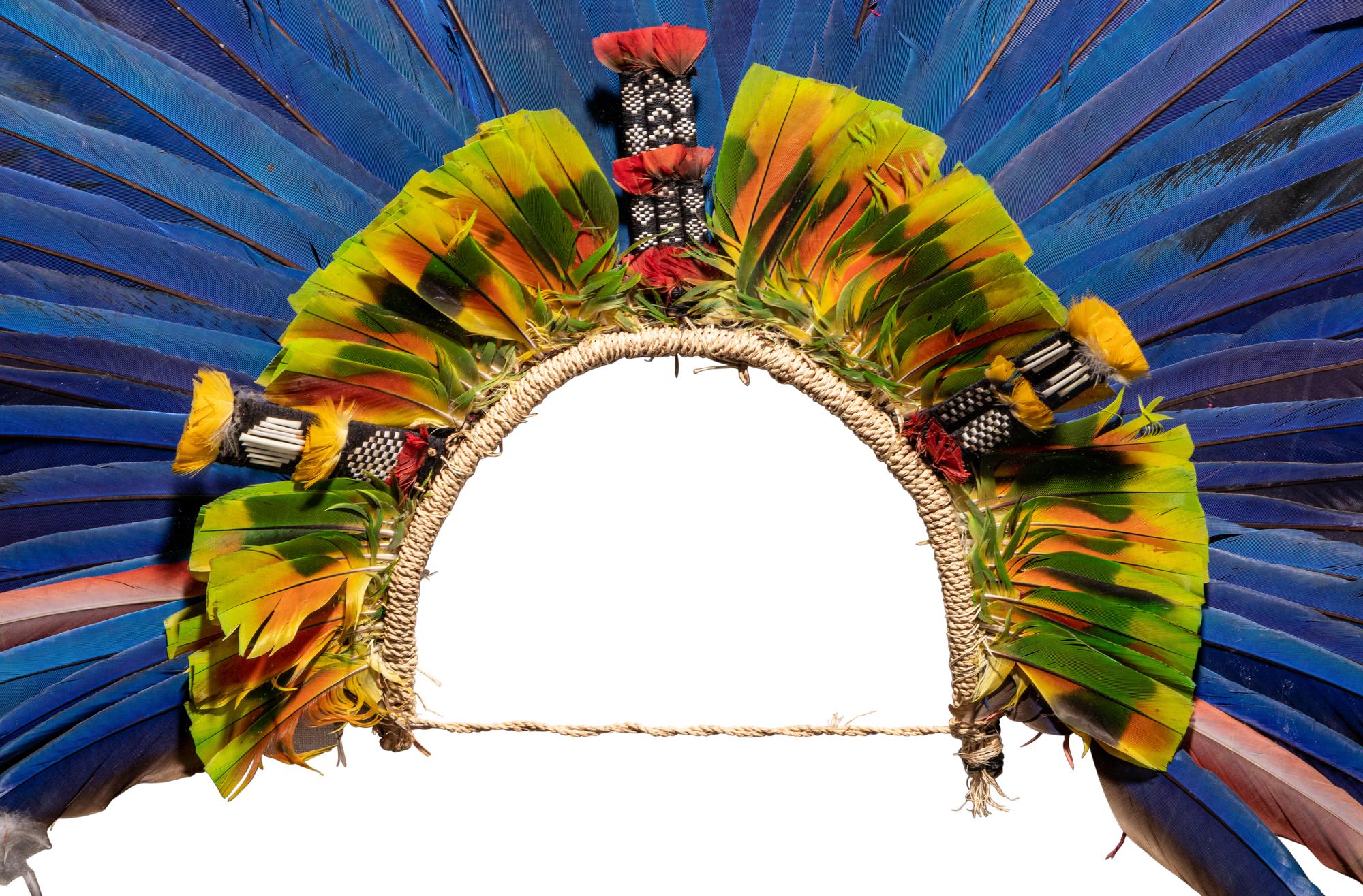 A Juruna Feather Headdress