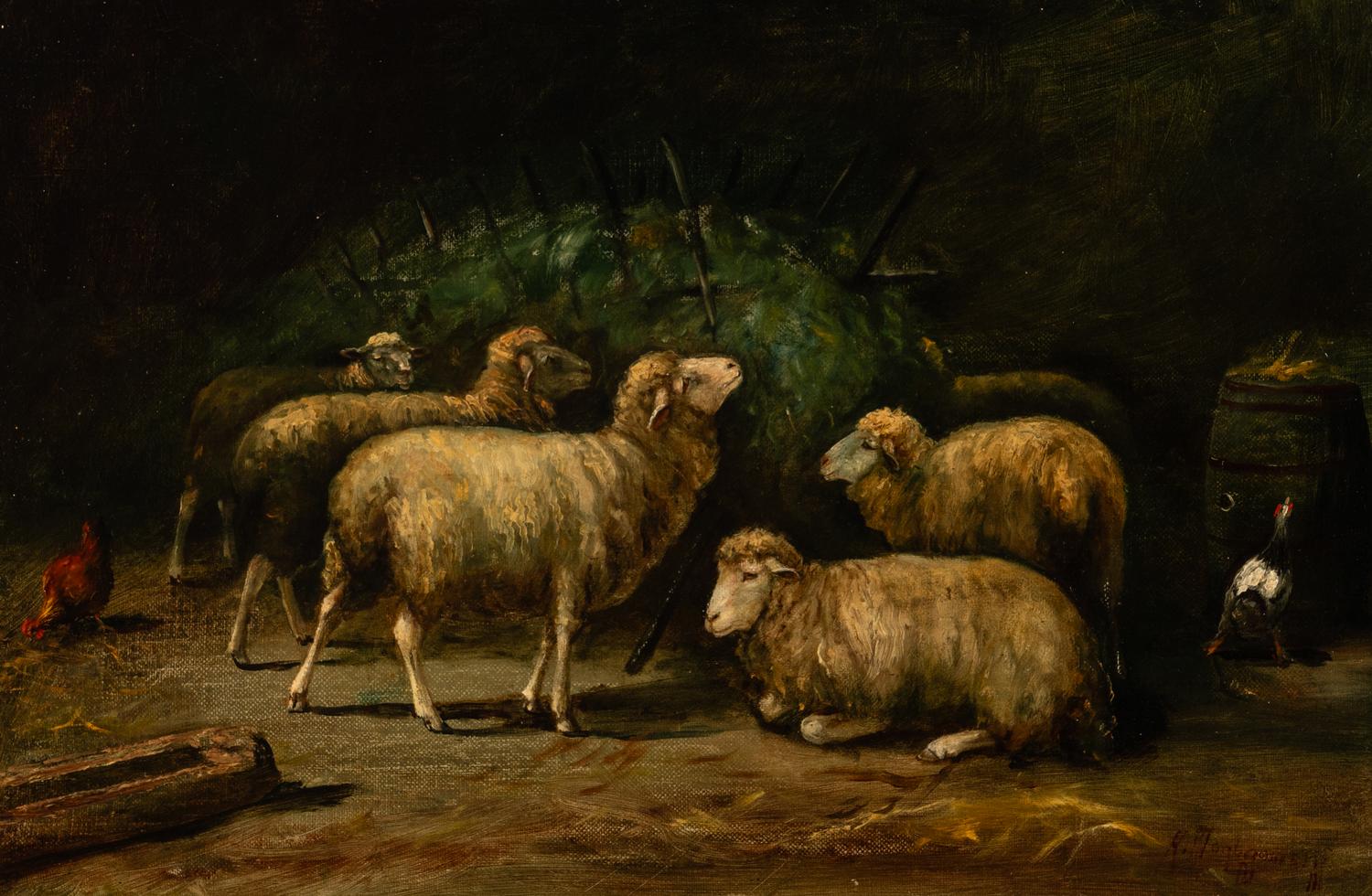 Sheep