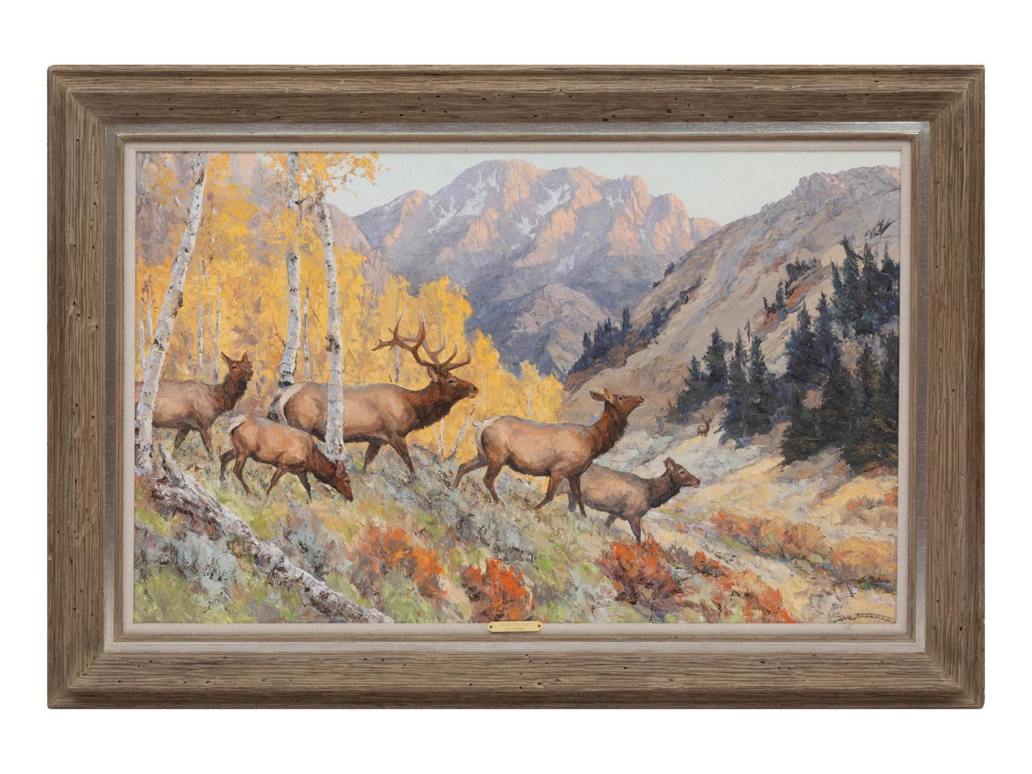 Majestic Elk