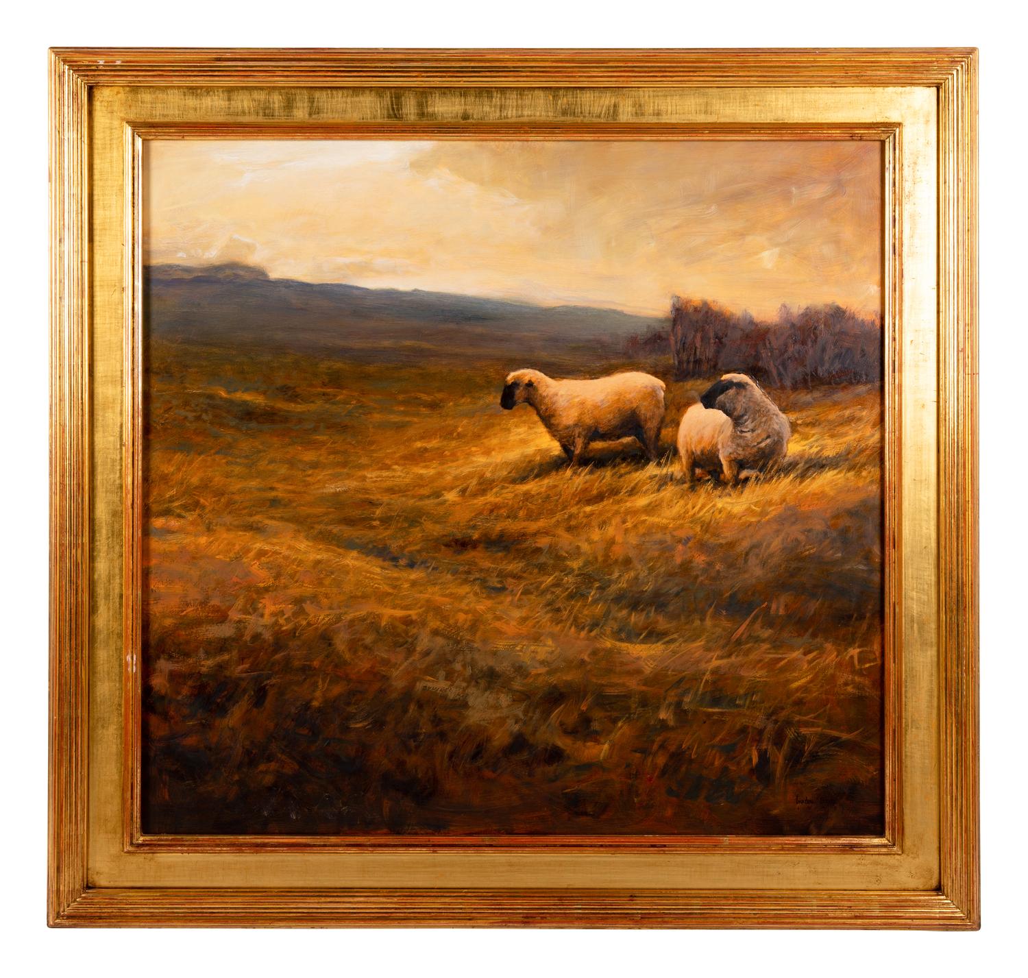 Sheep in a Grassy Field