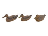Three Wood Mallard Decoys
