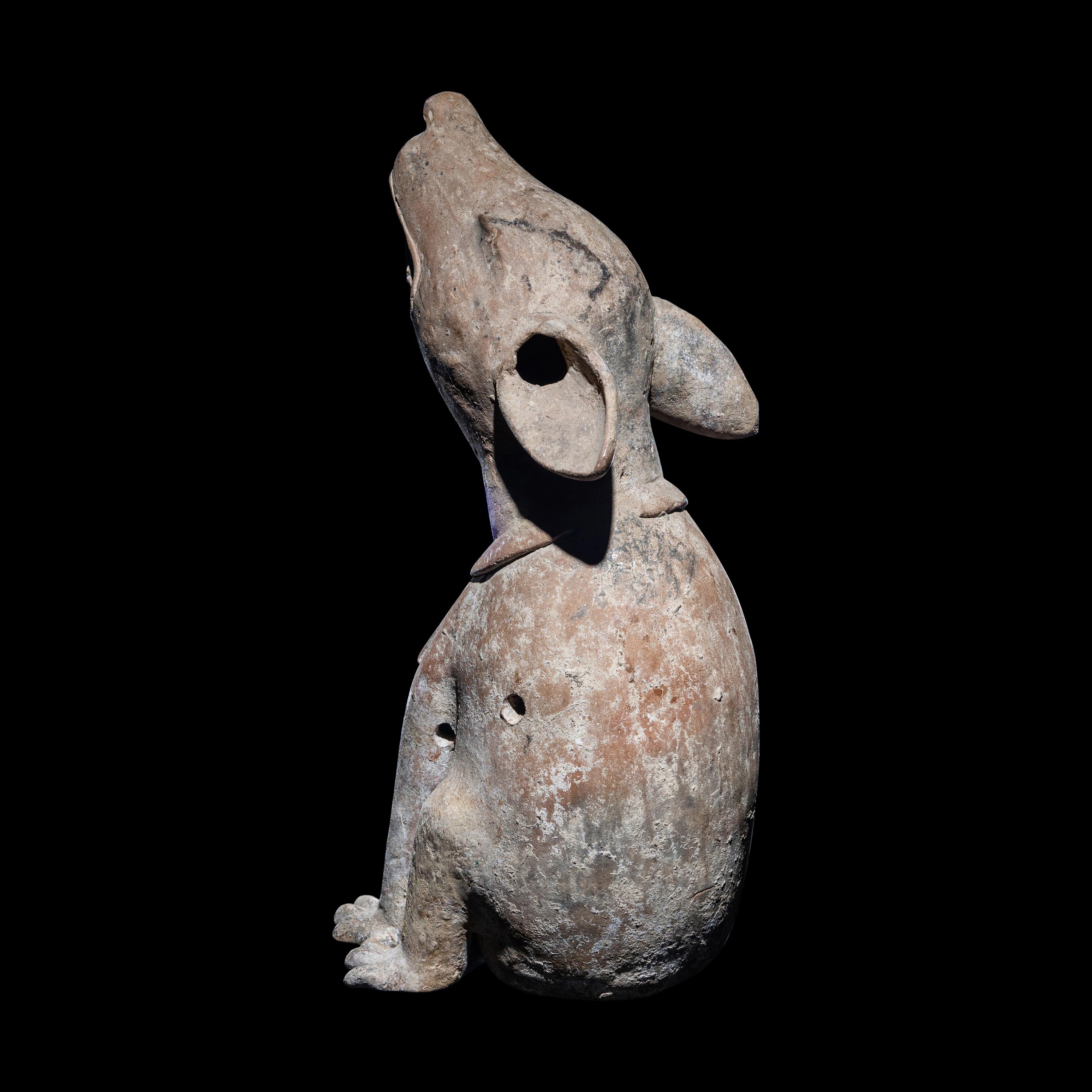 A Veracruz Terracotta Seated Paca