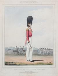 A Collection of Hand Colored Etchings and Lithographs Height of largest 11 x width 14 inches. — 19TH CENTURY
