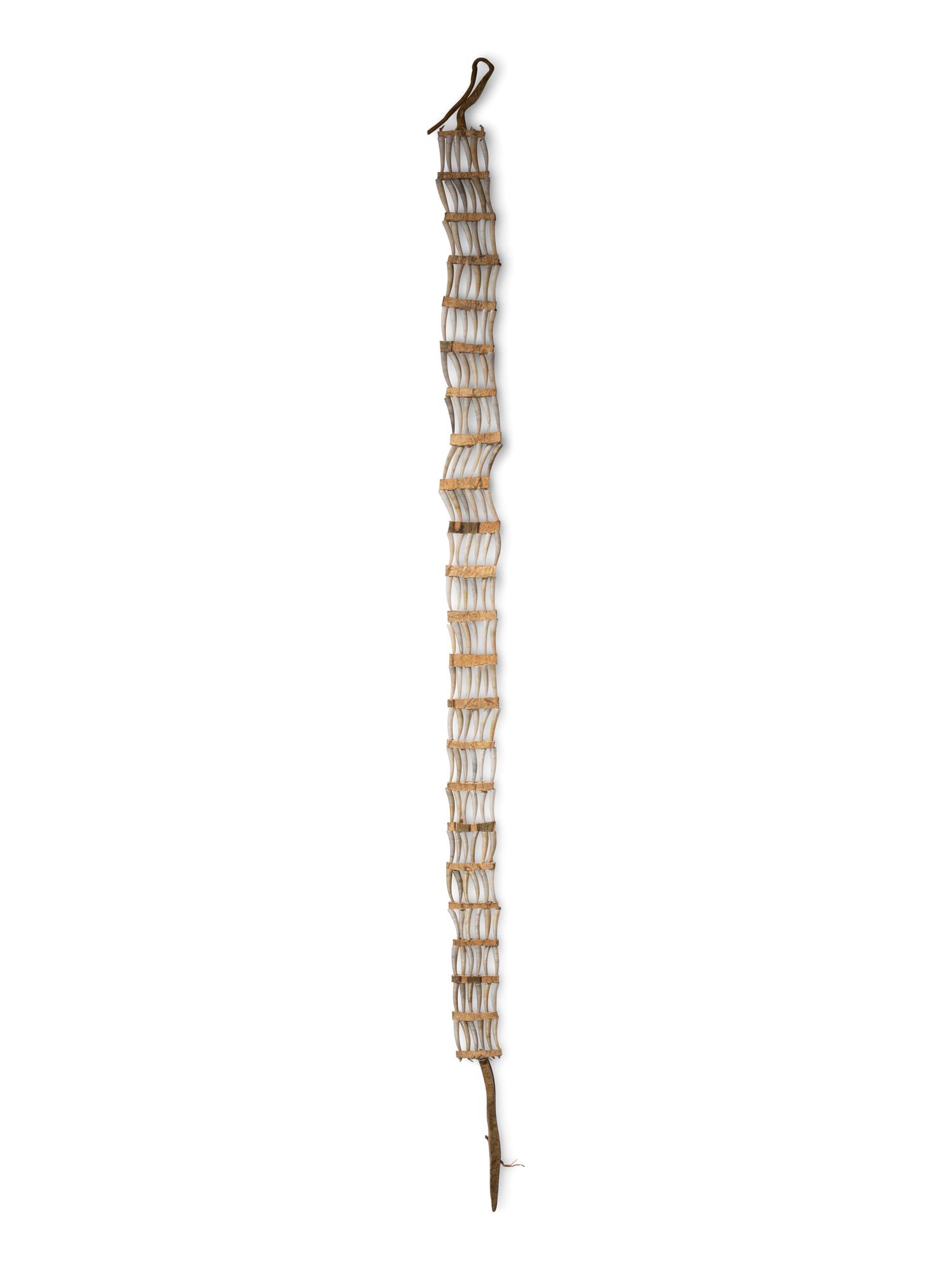 Plains Dentalia Shell Hair Ornament