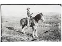 [EARLY PHOTOGRAPHY]. A large group of early photographs incl. equestrian and logging views.
