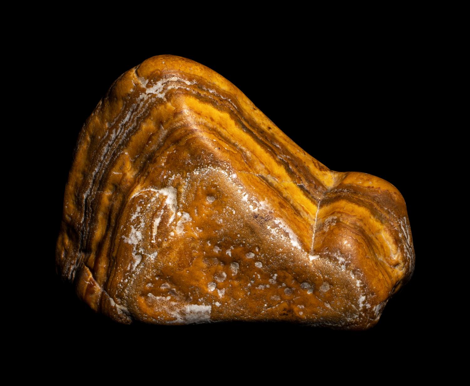 A Chinese Scholar's Rock