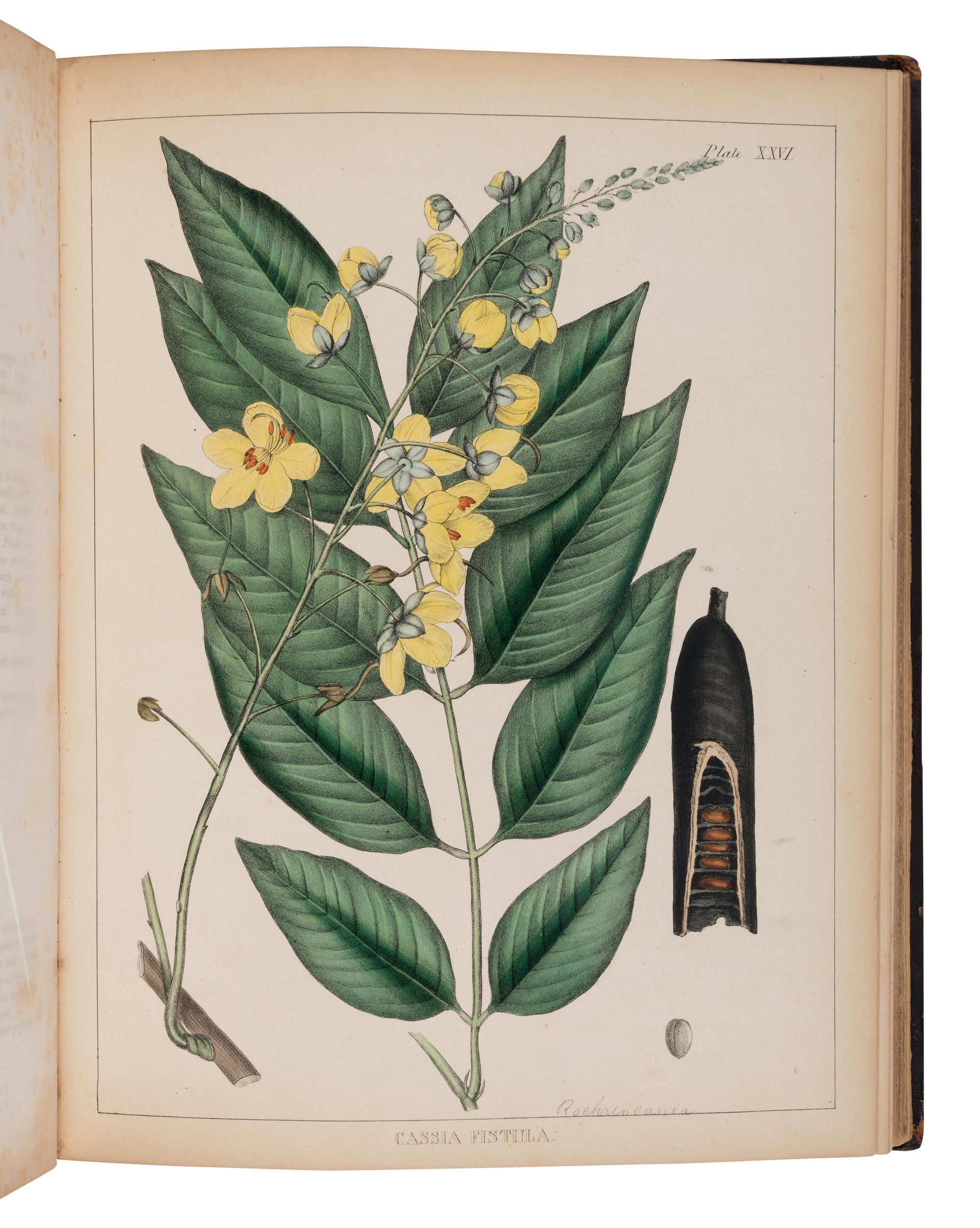 CARSON, Joseph (1808-1876). Illustrations of Medical Botany . Philadelphia: Robert P. Smith, 1847.