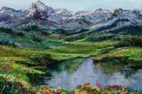 High Meadow Flowers