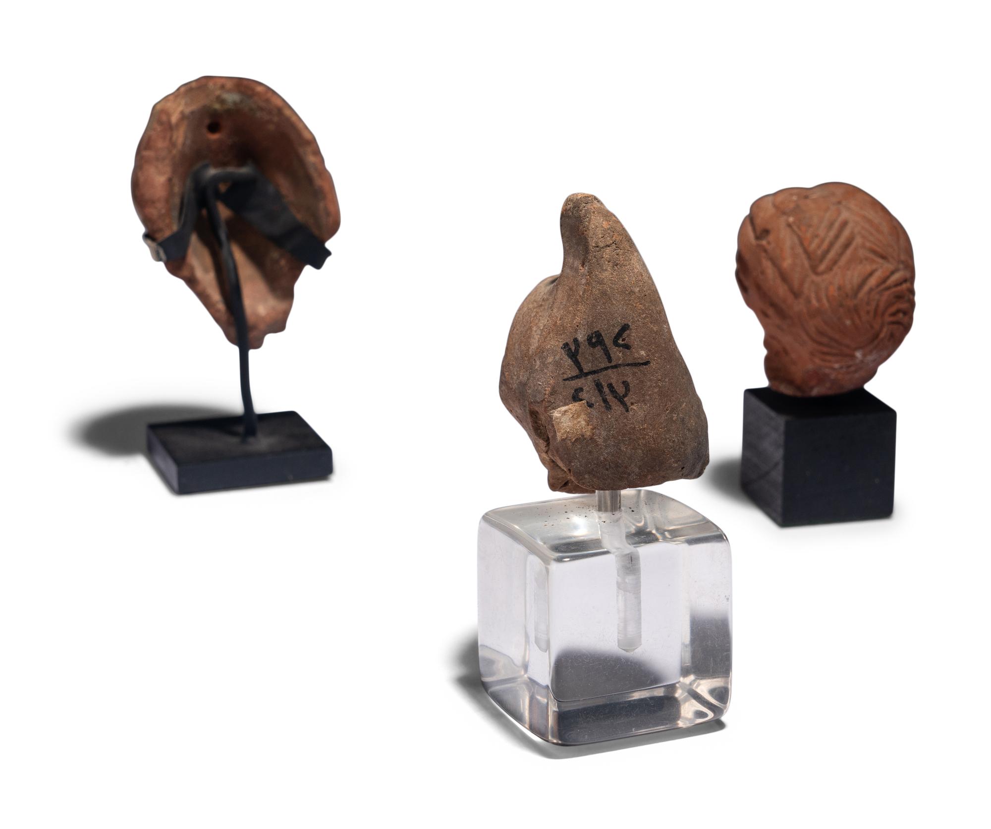 Nine Greco-Roman Terracotta Heads