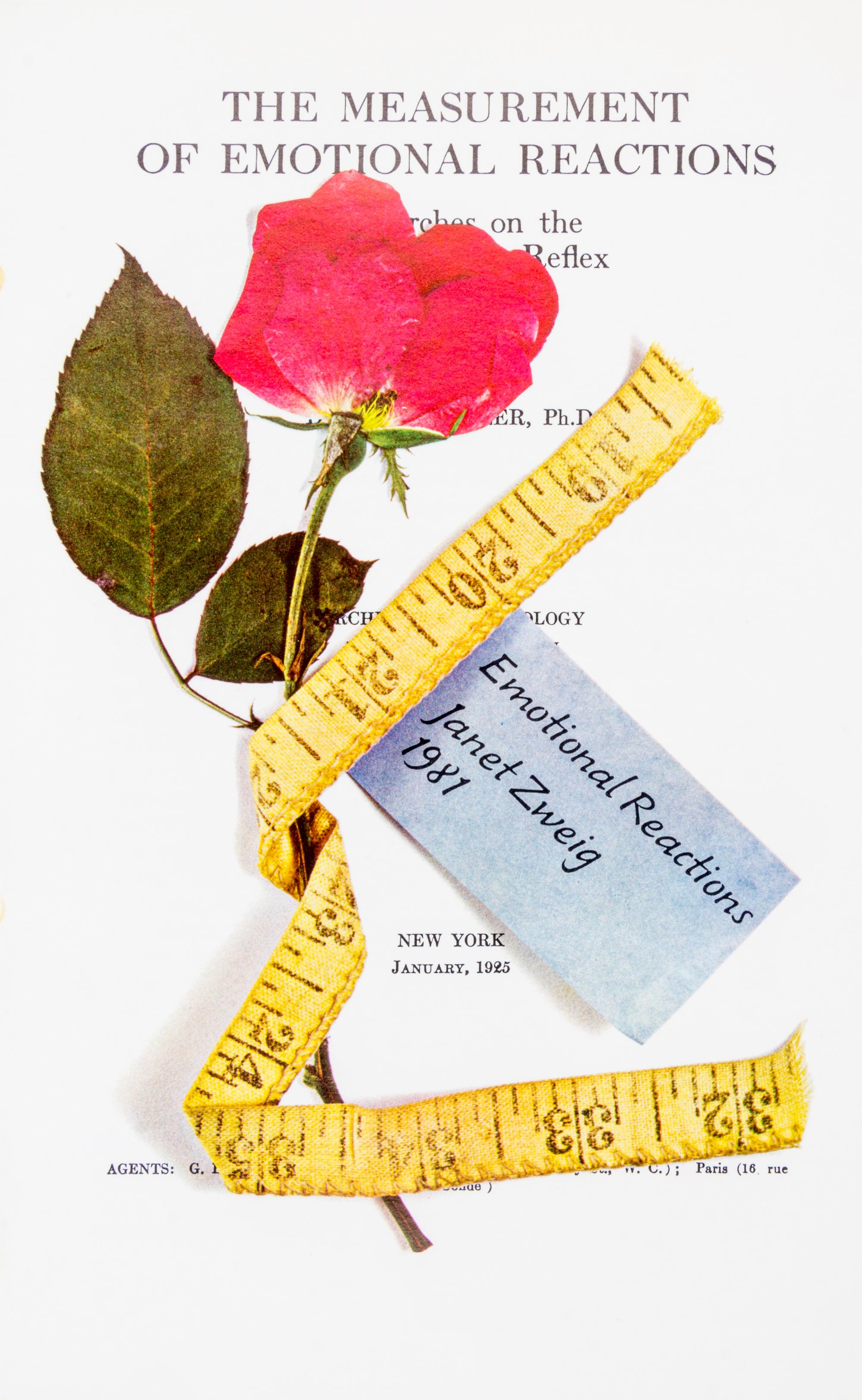 (VISUAL POETRY) 20 works, including Janet Zweig, Davi Det Hompson, Jean-Francois Bory, Ivor Cutler and others.