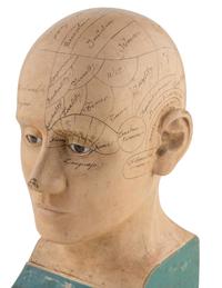 A Carved and Painted Wood Phrenology Head