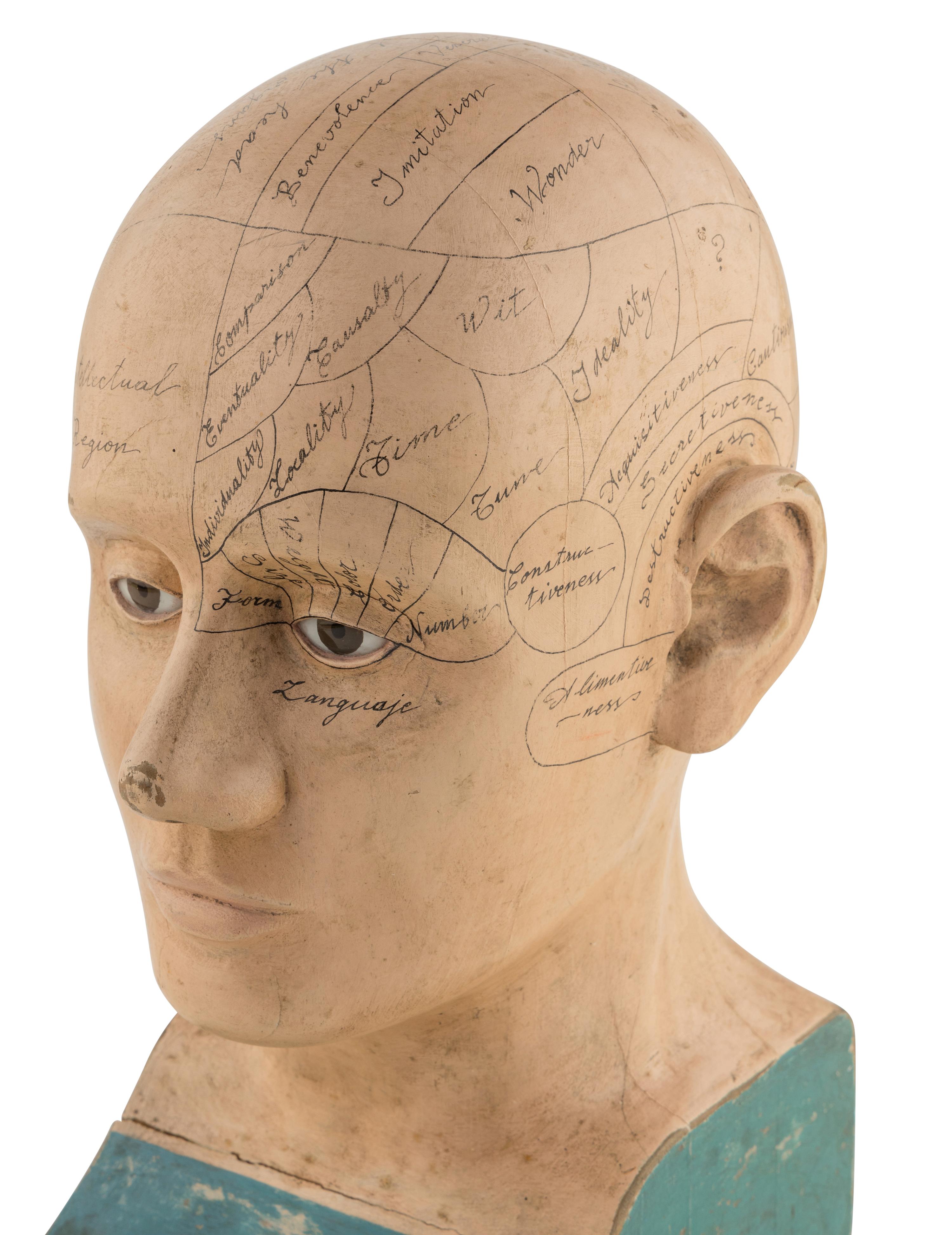 A Carved and Painted Wood Phrenology Head