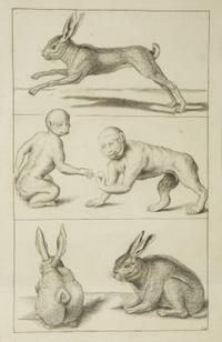 A Group of Ten Framed Continental Engravings — 18TH/19TH CENTURY