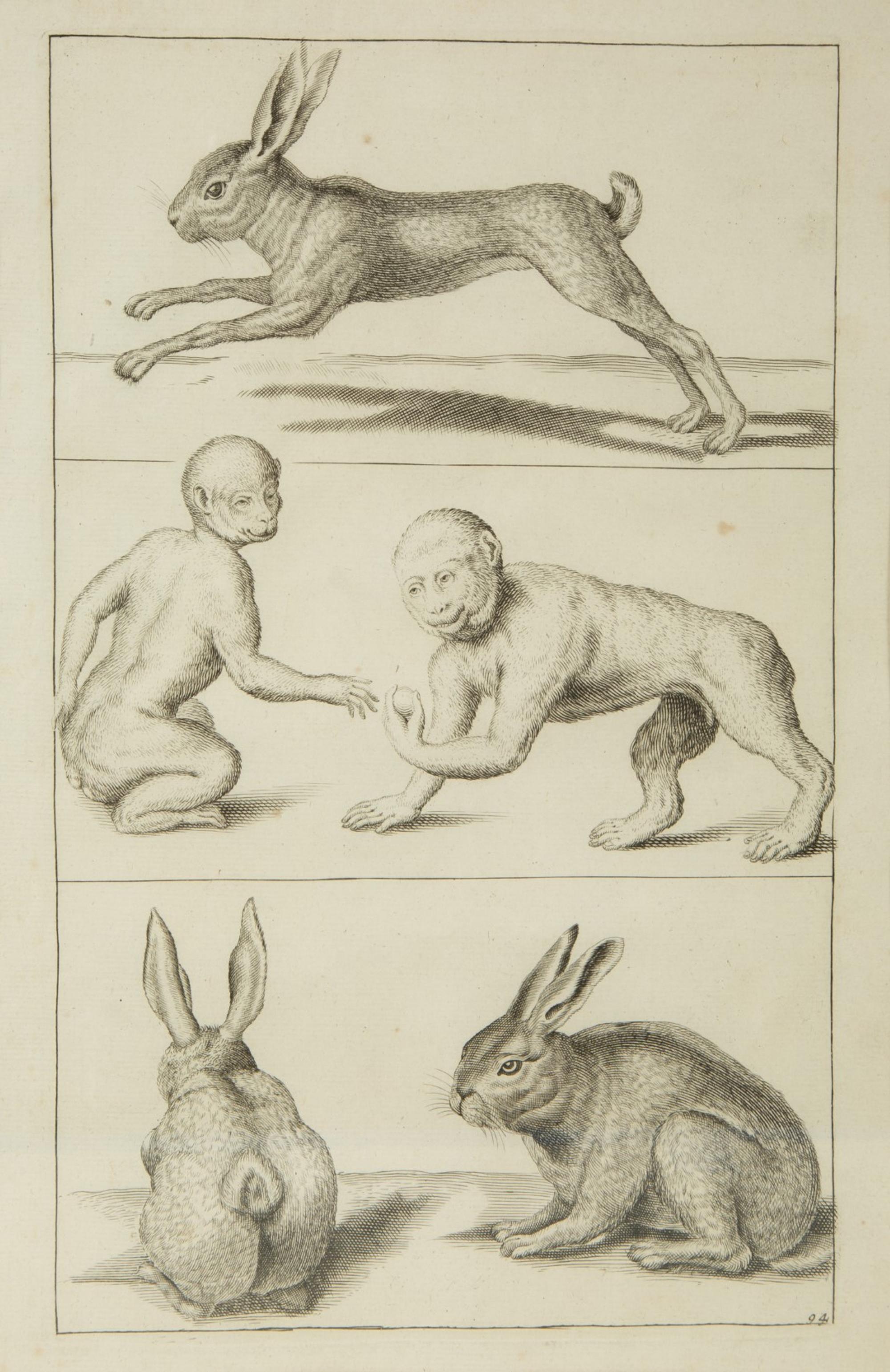 A Group of Ten Framed Continental Engravings — 18TH/19TH CENTURY