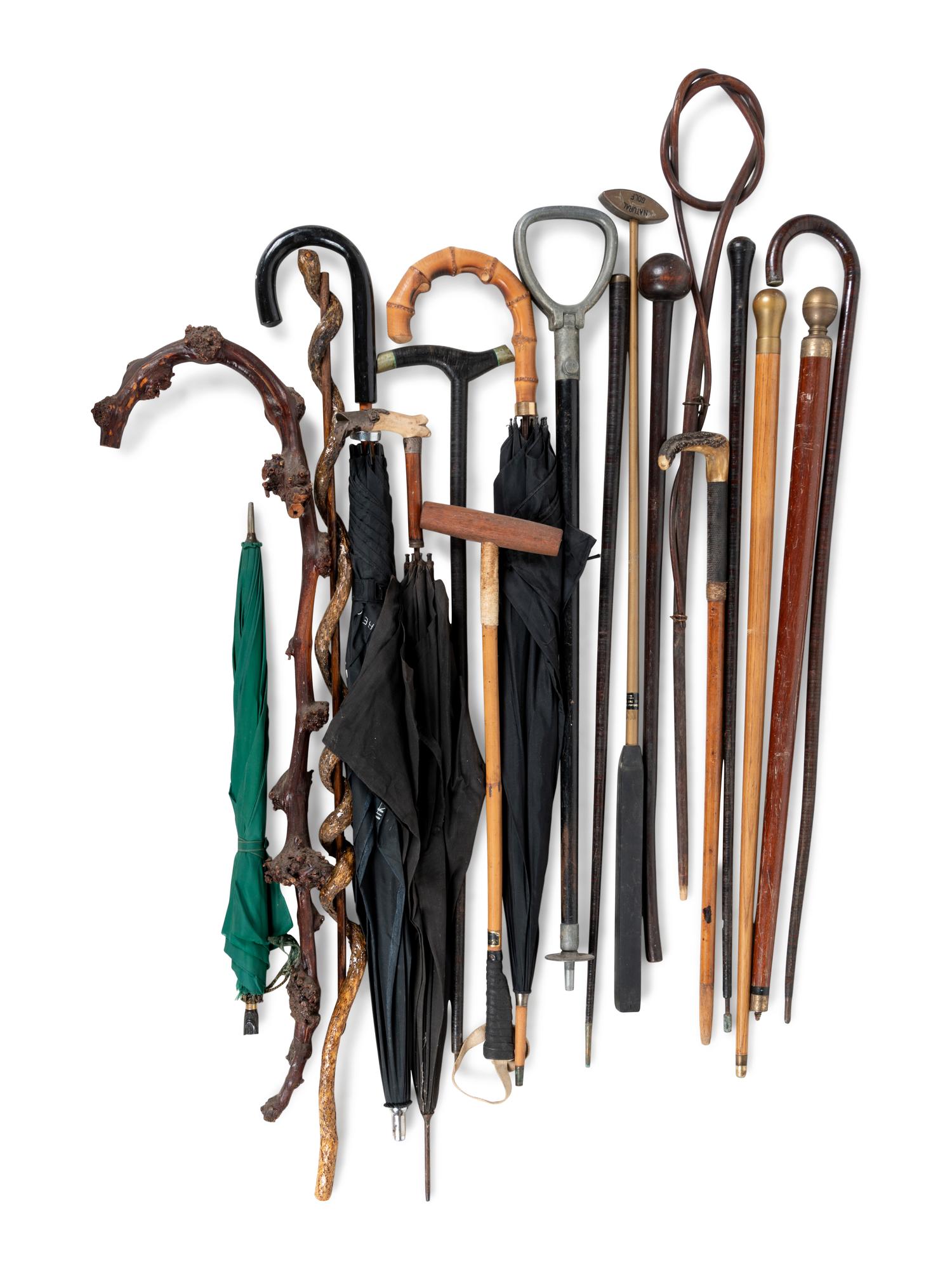 A Large Collection of Carved Canes and Walking Sticks