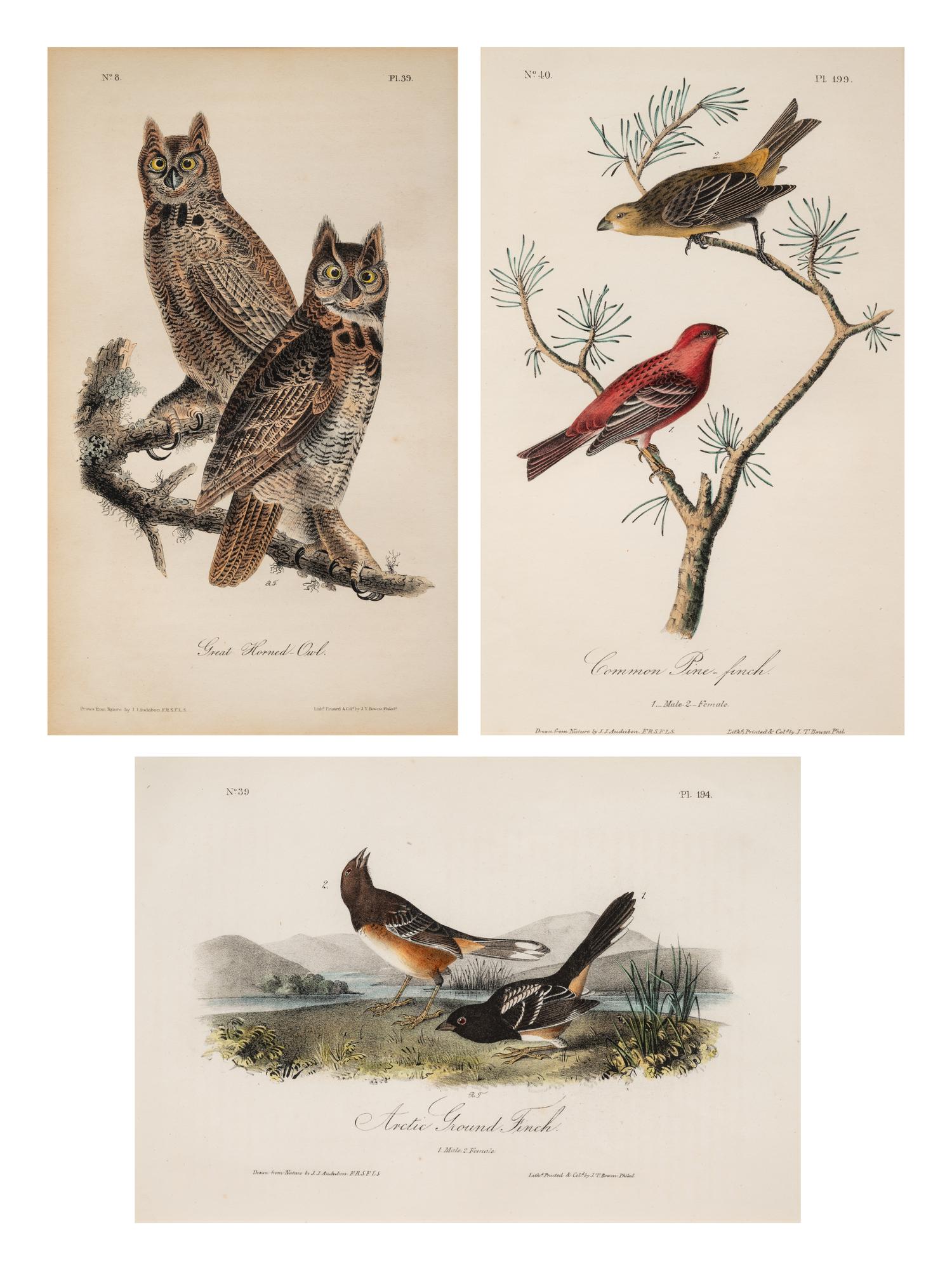 AUDUBON, John James (1785-1852) et al, after A group of 10 octavo-format prints, comprising: